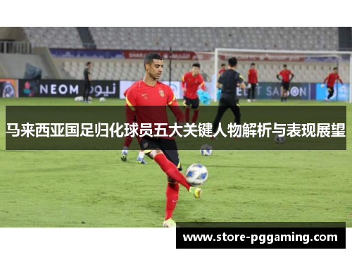 马来西亚国足归化球员五大关键人物解析与表现展望