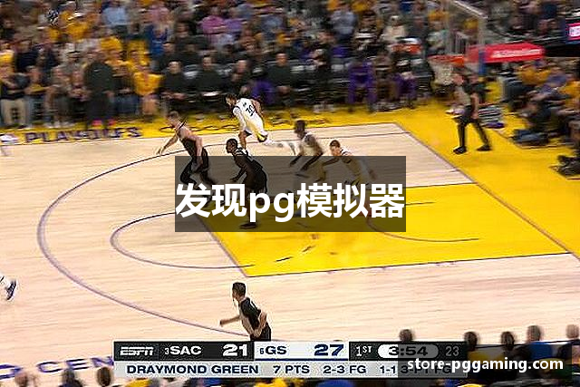 发现pg模拟器